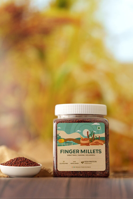 Finger Millet (Ragi Millet)